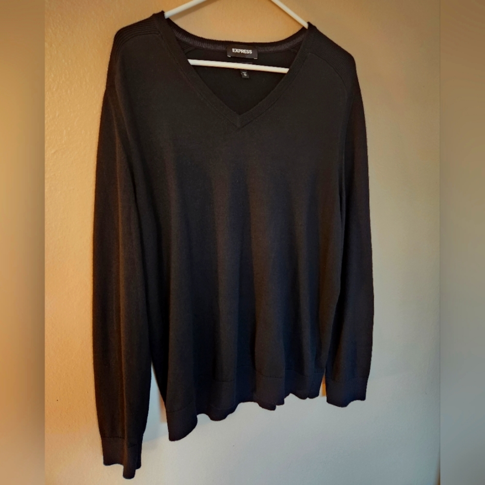 Express V Neck Formal Sweater